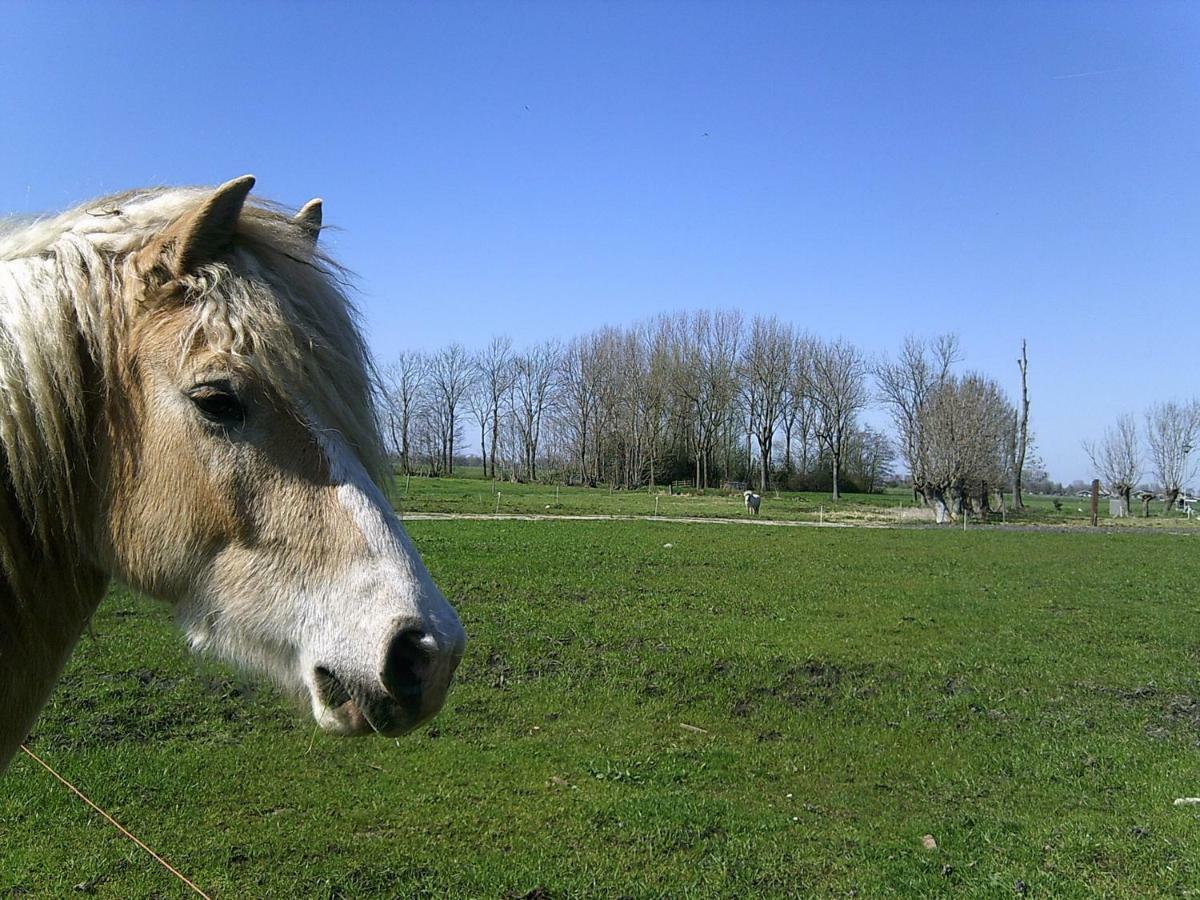 Bedstay41 Oudewater Buitenkant foto